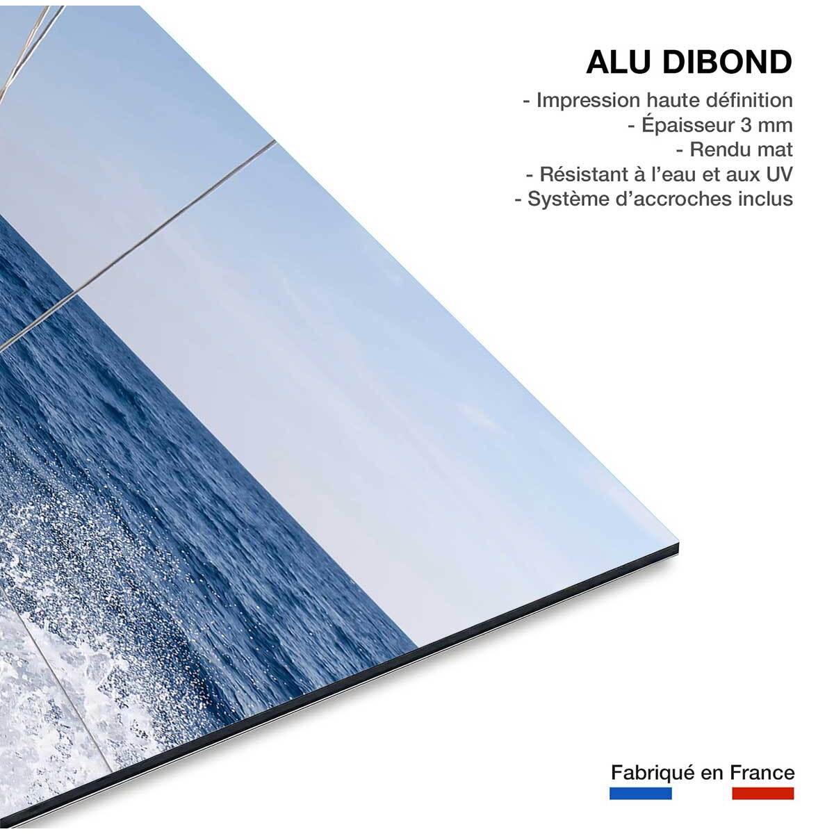 Tableau mer skipper voilier  Tableau alu Dibond