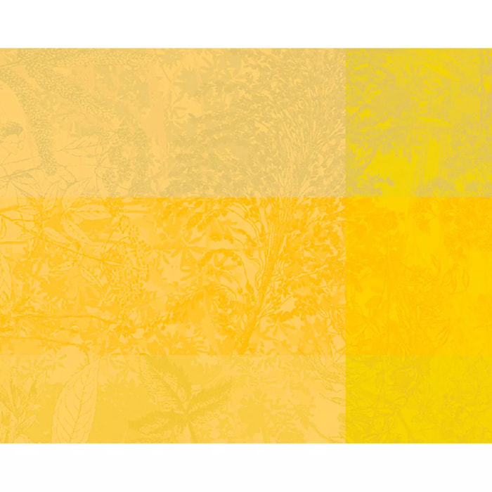 Set pur coton motif jacquard jaune Mille esprit jardin solaire