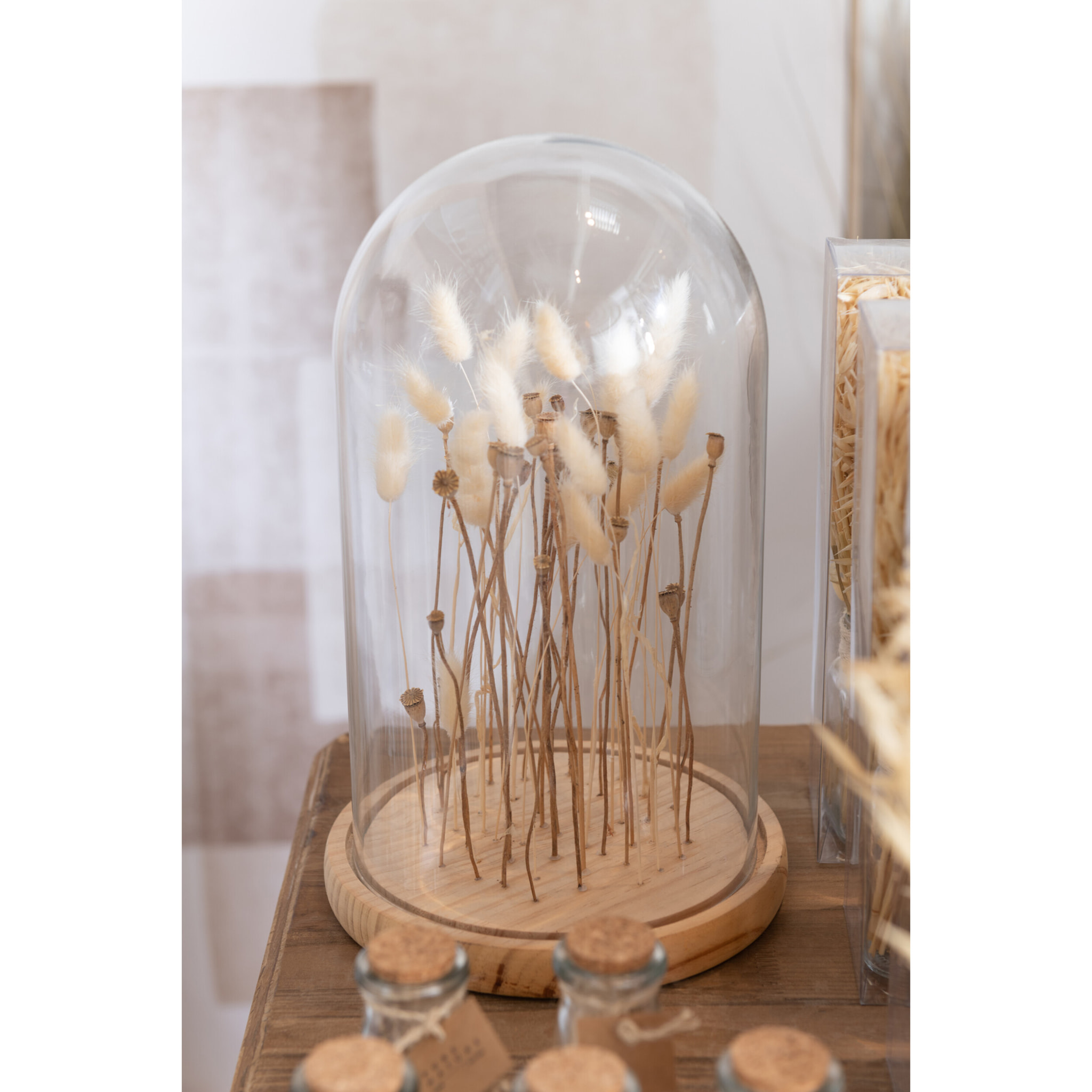 J-Line décoration Cloche Fleurs Sechées - verre/bois - ecru/brun - large