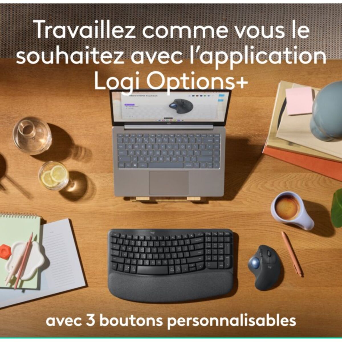 Souris sans fil LOGITECH Ergo M575S Graphite