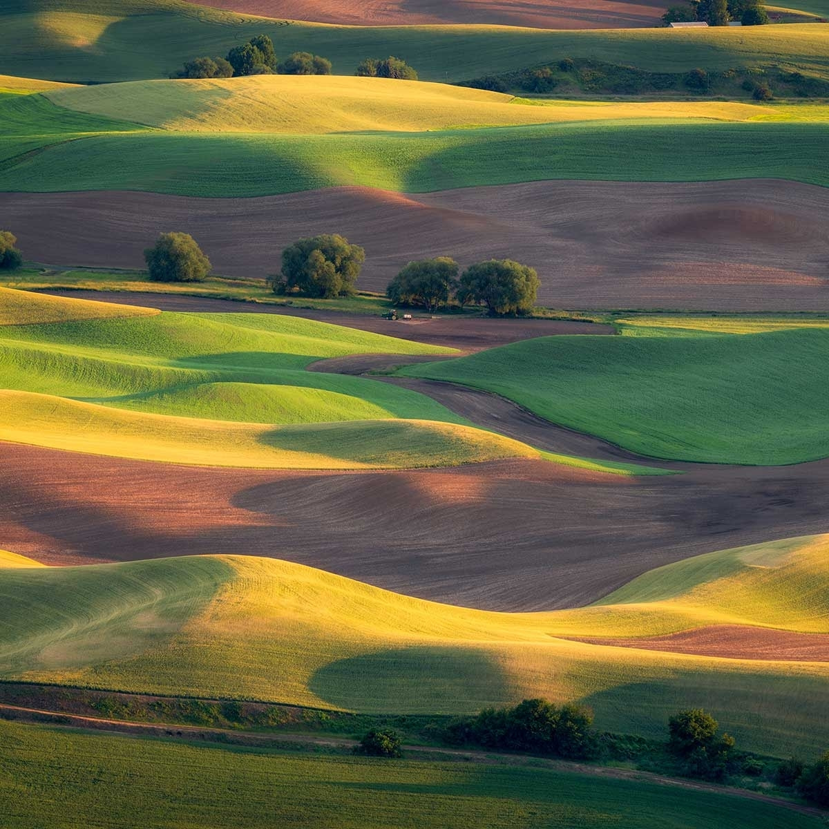 Affiche Colline colorée Affiche seule