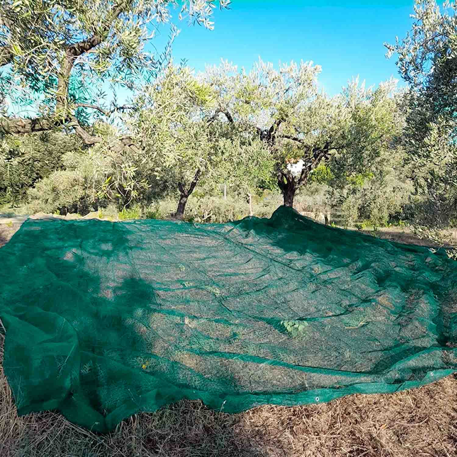Rete antispina per raccolta olive 85 gr/mq - rotoli di varie dimensioni (50 mt - altezza 10 mt)