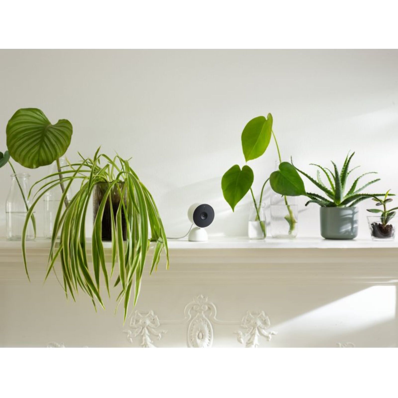Caméra de surveillance GOOGLE Wifi Nest Cam Indoor