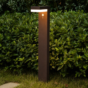 Potelet solaire CENOVA TALL H50CM 600LM