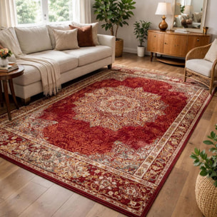 Tapis salon Rectangulaire Oriental
