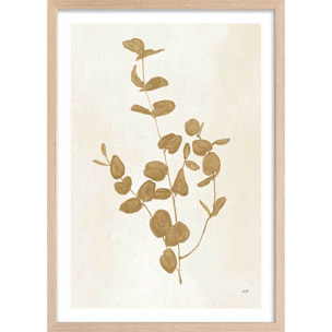 Affiche fleurs Recolte d'or Roya Affiche + cadre en bois - Chêne