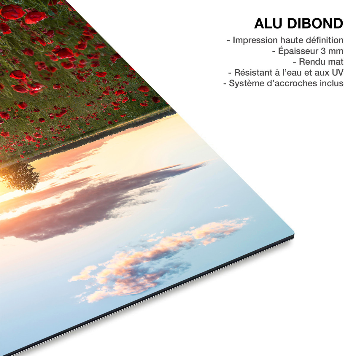 Tableau champs de coquelicots Suede en fleurs Tableau alu Dibond