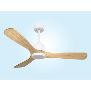 Ventilateur de plafond Réversible  Thermostat Dimmable Wifi Moteur à courant continu Toits en pente Télécommande Lumière à trois tons Hypersilence Mémoire