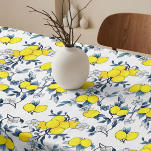 Nappe anti-taches 100% coton Nicolo