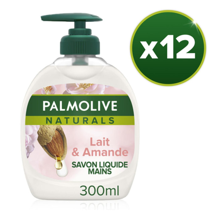 Pack de 12 - Savon liquide Mains Palmolive Soin délicat Amande & lait pompe - 300ml