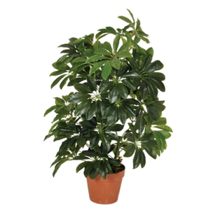 Planta Artificial Cheflera 65 Cm