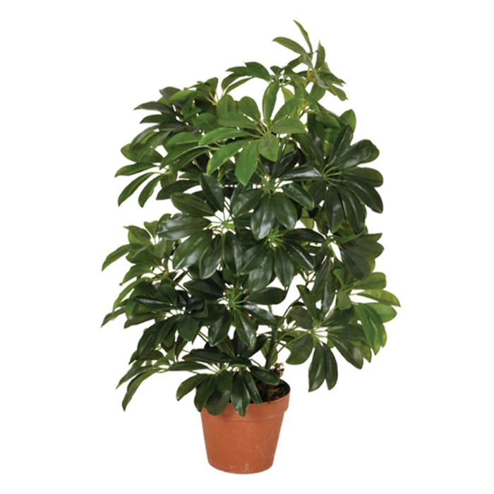 Planta Artificial Cheflera 65 Cm