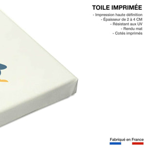 Tableau pingouin ballon Toile imprimée