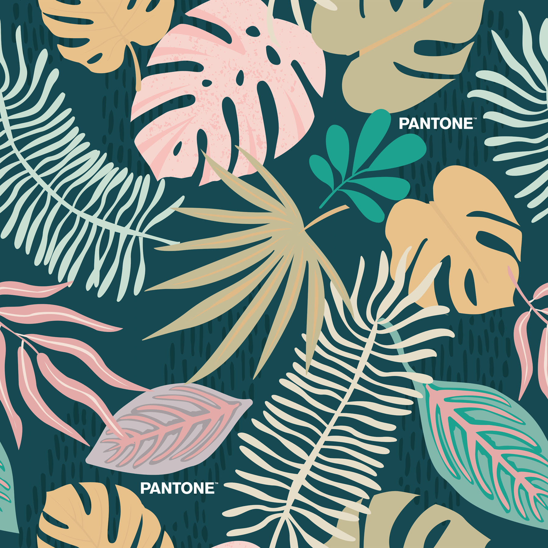 Pantone - Funda Nórdica Estampada - Cierre Solapa - 100% Algodón - Incluye 1/2 Fundas de Almohada - Jungly