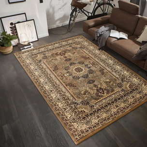 Tapis orient tissé motifs orientaux SOLE