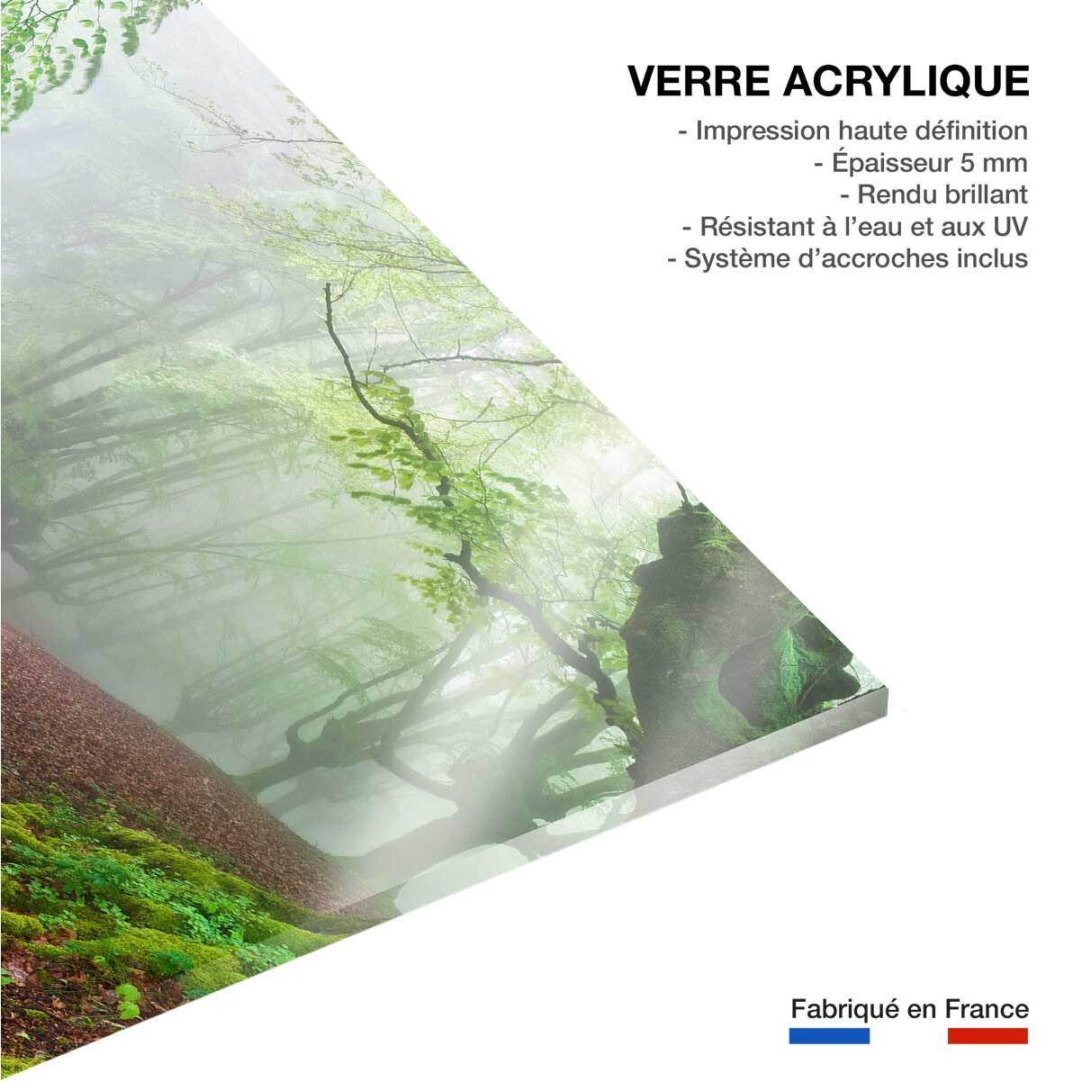 Tableau paysage de foret renaissance verte  Tableau plexiglas