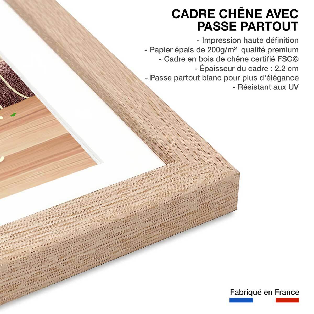 Affiche enfant jeune paresseux et spaghetti  Affiche + cadre en bois - Chêne