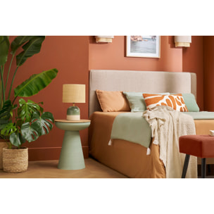 Table d'appoint ronde design avec rangement en métal vert céladon et bois manguier massif H52 cm TAM