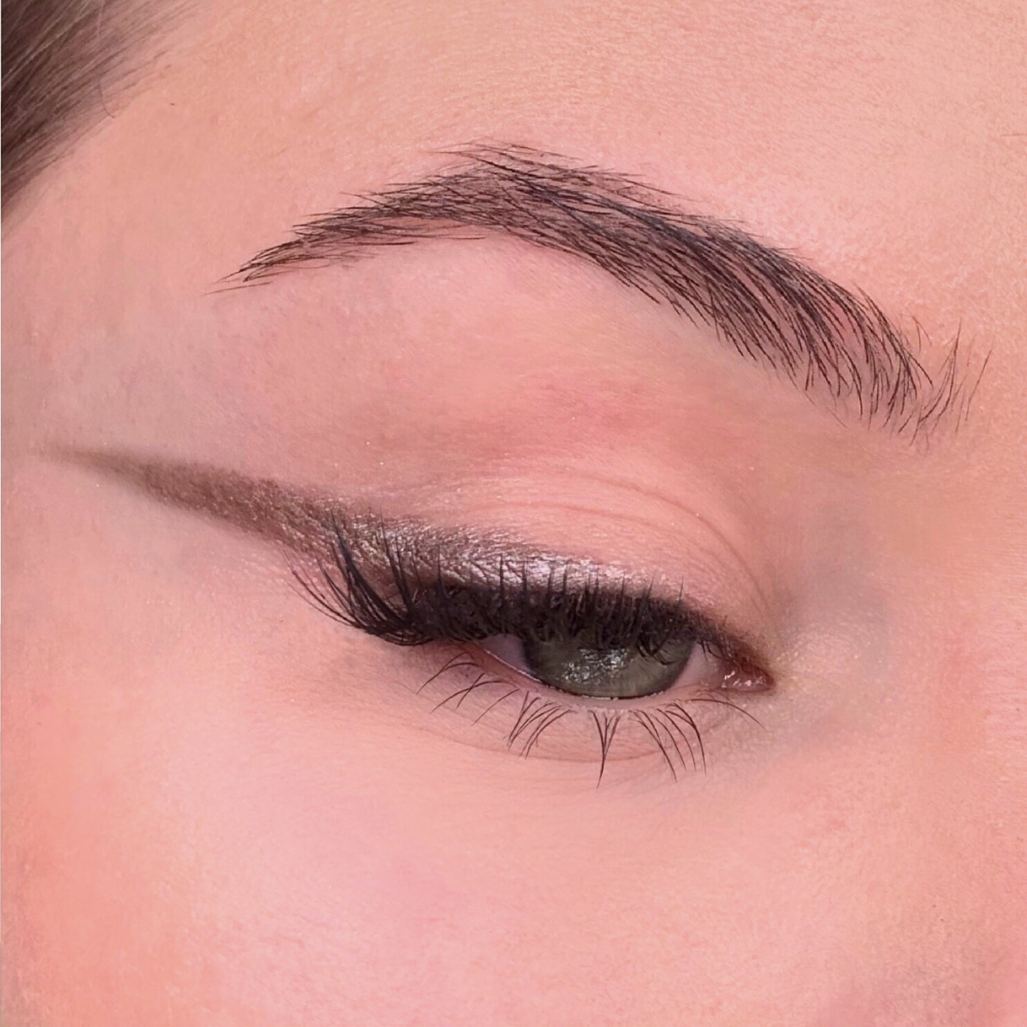 309 Taupe - Fard à paupières naturel & vegan