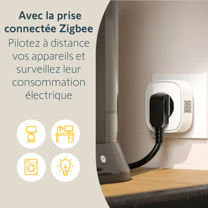 Prise intérieure connectée Zigbee ON/OFF type E - Capteur de consommation électrique