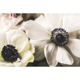 Tableau plantes fleur blanche au coeur violet  Toile imprimée