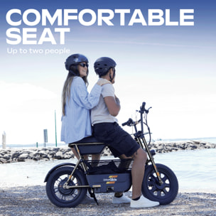 Draisienne Électrique Adulte Thunder 160 – Moteur 1100W - Autonomie Jusqu'a 30 km - Pneu 16" FATBIKE - Batterie 42V/7,8Ah - Poids 28Kg