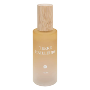 Spray d'ambiance "Terre d'ailleurs" 100ml