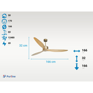Ventilateur de Plafond ø166 cm avec Wifi Réversible Hypersilence pour 50 m² 40 W Doré