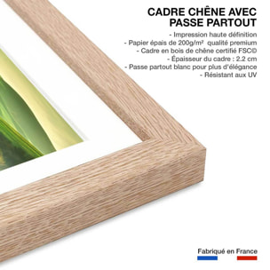 Affiche nature collines brumeuses Affiche + cadre en bois - Chêne