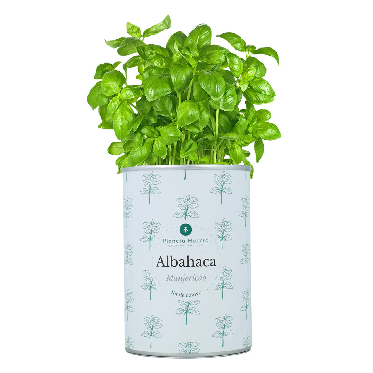 Pack Kits de cultivo aromáticas Planeta Huerto