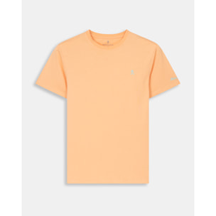 CAMISETA ICON COLORS