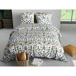 Parure housse de couette imprimée 220x240cm + 2 Taies 100% coton 57fils VEITCHS
