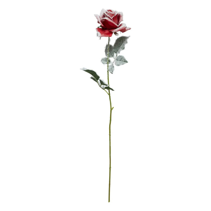 Branche rose rouge enneigée H62