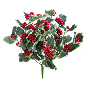 Agrifoglio - Pezzi 3 - 25xH33x25cm - Bianchi Dino SpA