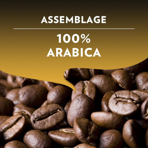 Café Espresso Lungo x10.  Capsules compatibles Nespresso en aluminium
