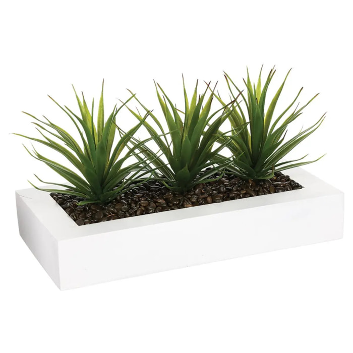 Centre de table "Keiko" 3 aloe vera artificielle blanc H17cm