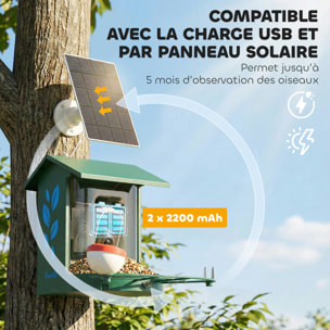 Mangeoire oiseaux avec caméra solaire 3M pixels reconnaissance IA grand angle 142° - 30 x 34 x 26 cm - métal vert