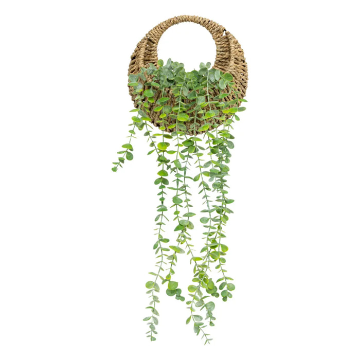 Plante artificielle suspendue Zea H70cm
