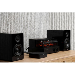 Lecteur réseau HiFi WIIM Pro