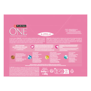 PURINA ONE Chat Kitten Effilés Sauce Saumon Poulet 8x85g - Lot de 10