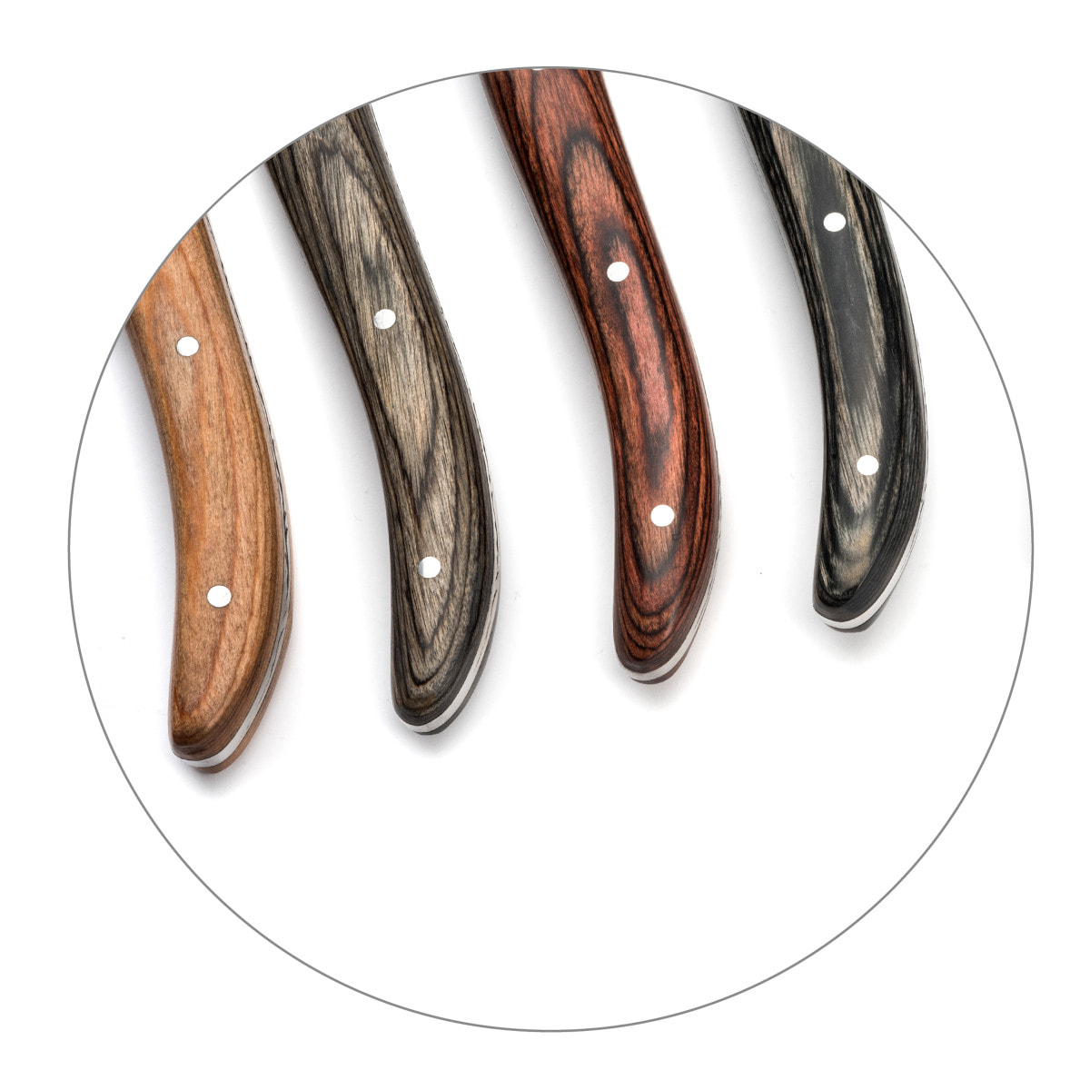 Louis - 6 cuchillos para carne con mangos de madera Pakka mezclados