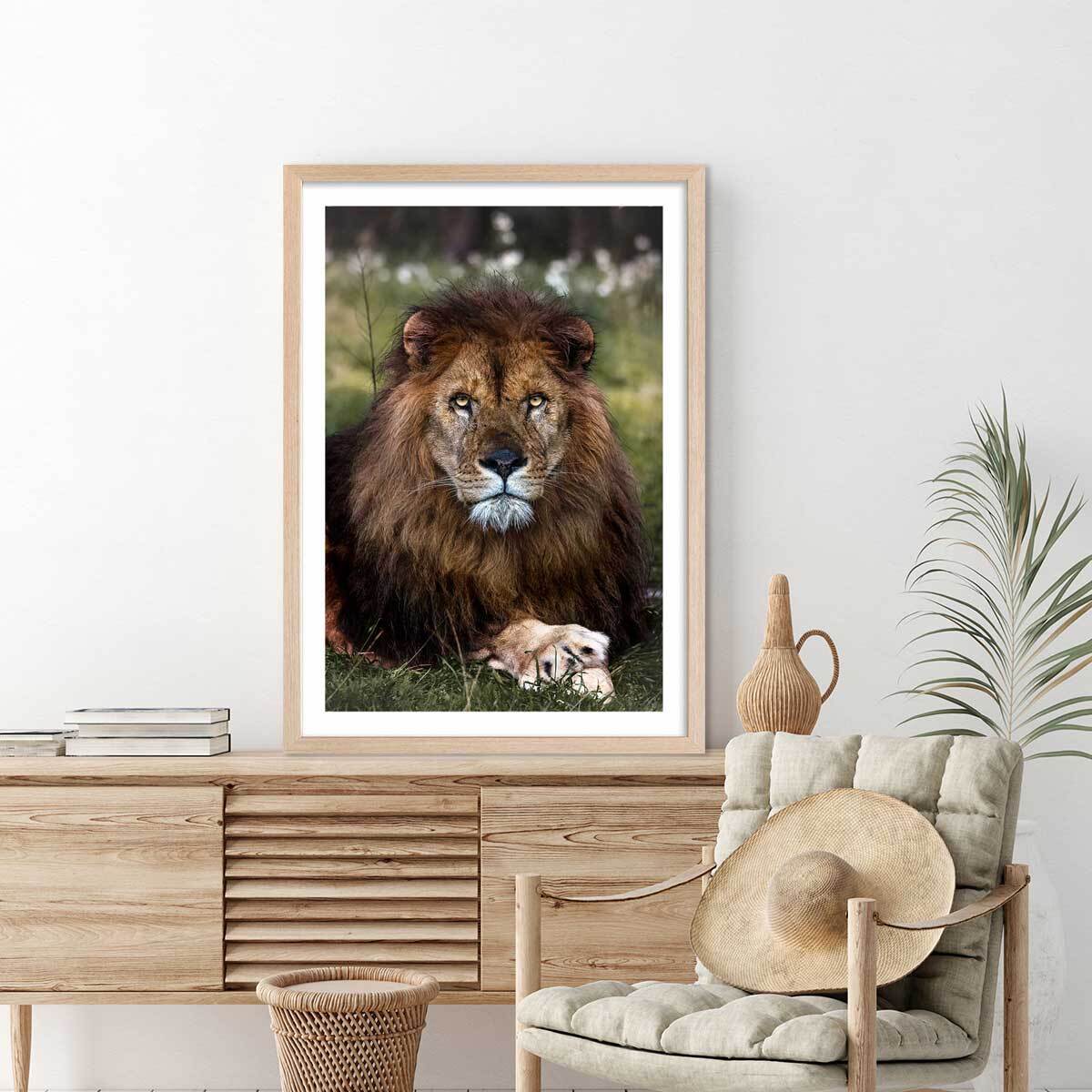 Affiche animaux pattes de lion Affiche + cadre en bois - Chêne