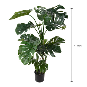 Monstera real touch - Pezzi 1 - Colore: Verde - Bianchi Dino