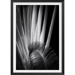 Poster jungle Marbella palm Affiche + cadre en bois - Noir