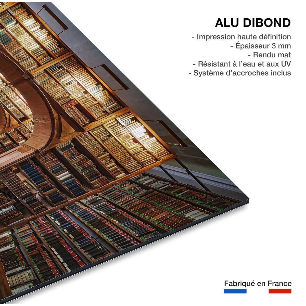 Tableau librairie des sciences Tableau alu Dibond