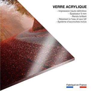 Tableau nature explosion automnale Tableau plexiglas