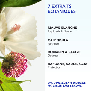 Phyto 7 - Phyto 7 Elixir - Crème de Jour Universelle - 50ml