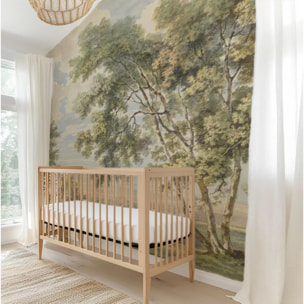 Carta da Parati Paesaggio Inglese