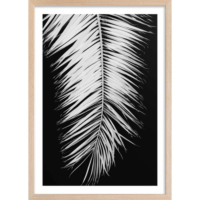 Poster palme x Affiche + cadre en bois - Chêne