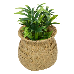 Plante artificielle en pot Jil 10x10cm